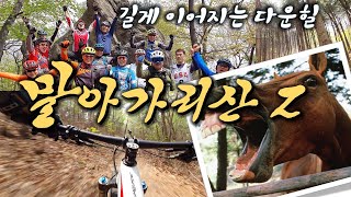 긴다운 말아가리산 마구산 MTB 라이딩2