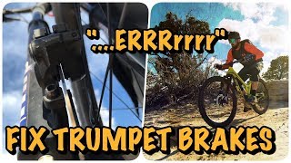Trumpet Brakes? Fix Noisy MTB Brakes and New...