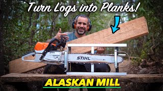 Using an Alaskan Mill to turn dead trees into...