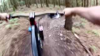 Hurt woods, JWTSN DH, Surrey Hills, mountain...