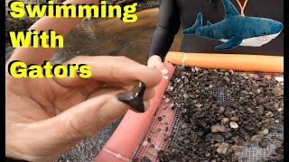 Hunting For Megalodon Shark Teeth And Fossils...