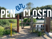 Are the Laguna Beach Trails Open or Closed? It...