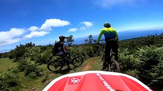 Madeira 2018: Formiga