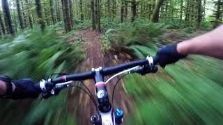 Lord Hill Regional Park - Ewe Tube