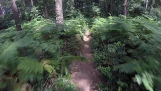 Woodbury Common, Exmouth Mountain Biking Trails