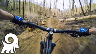 Enjoying Nature & Mountain Biking...