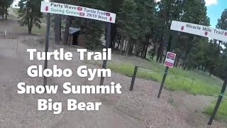 Turtle Trail | Globo Gym | Snow Summit | Big...
