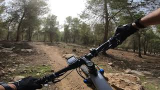 Rimon Single Trail | סינגל רימון