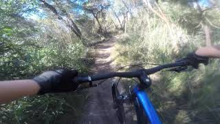 red hill mountain bike trails