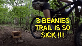 3 Beanies Jump Trail at North Ford Street