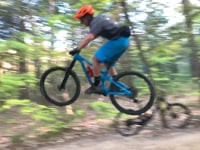 Jump on Happy Cats - Blackstrap Preserve,...