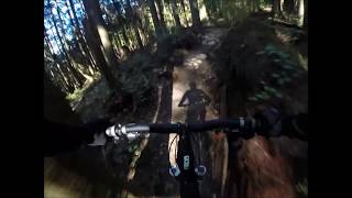 North Shore Mountain Biking - C Buster-Asian...