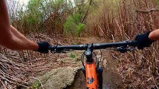 Don Valley Bike Trails: Rim Trail POV