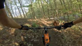 Don Valley Bike Trails: Fiveplay POV