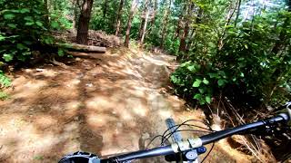 Lower Pig Track @ Tunnel Gully