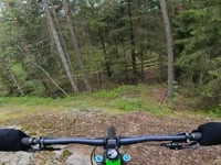 Old Kings Road - partial trail