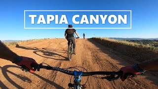 TAPIA
