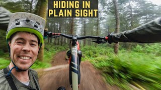 Misty & weird singletrack on Galbraith!