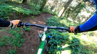 1 MTB trail in 1' - Malveira - Sintra