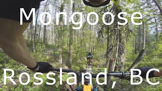 Mongoose - Rossland, BC