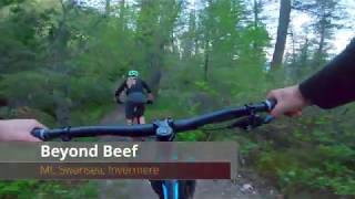Beyond Beef
