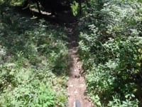 MTB Grenchen