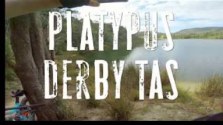 TAS Derby Platypus 4k