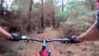 Herbert Forest - Middle Ridge Single track ...