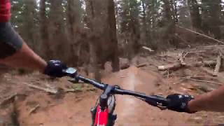 Herbert Forest - Herbert Track Part 2 , Oamaru, NZ