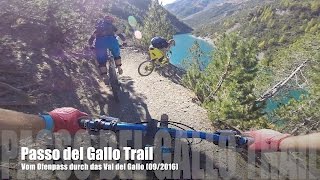 Passo del Gallo Trail - Vinschgau - MTB-Trails