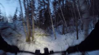 Ewok trail