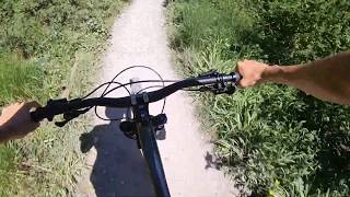 Queen Elizabeth Country Park - Blue Trail 4