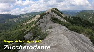 Zuccherodante (Bagno di Romagna, FC) 30-05-2020