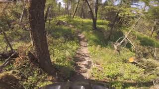 Spencer Trails - Whitefish Montana - Otter...
