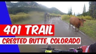 401 TRAIL | CRESTED BUTTE, COLORADO