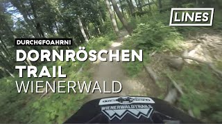 Dornröschen Trail - Wienerwald | LINES