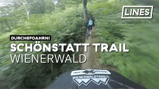 Schönstatt Trail - Wienerwald | LINES