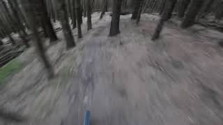 Hidden gem trail at Innerleithen