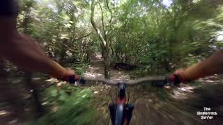 Mcmillian @ Wainui Trail Project