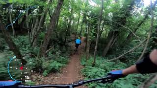 MTB Medea - New freeride AKA Tassi