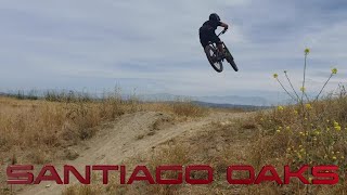 Santiago Oaks with Mo and Hannah / Sketch...
