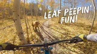 Leaf Peeping | Strand Hill - Crested Butte, CO