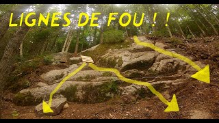 Ces lignes là sont débile...Mais vous ne...