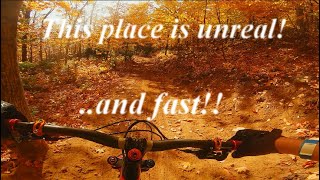 How fast can I go on my second run ever at Le...