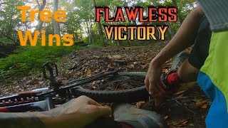 Arbre 2 - JP 0 | Tree Wins - Flawless Victory