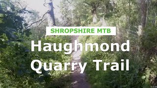 Haugmond Hill - Overgrown Quarry Trail -...