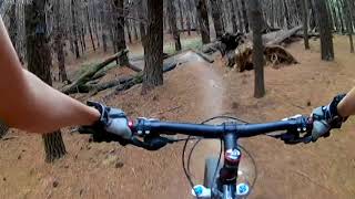 Kinross MTB Park (TTT) 'Green Circle'