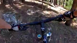 Kinross MTB Park (Defibrillator) 'Blue Square'
