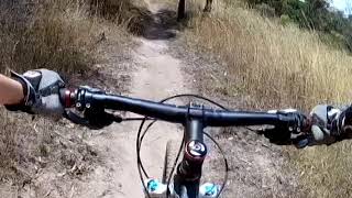 Lake Canobolas MTB park ( Old Biddy ) 'Green...