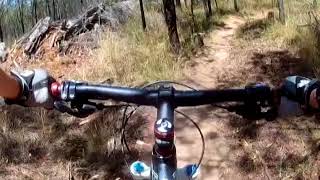 Lake Canobolas MTB park ( UP-FOR-IT ) 'Blue...